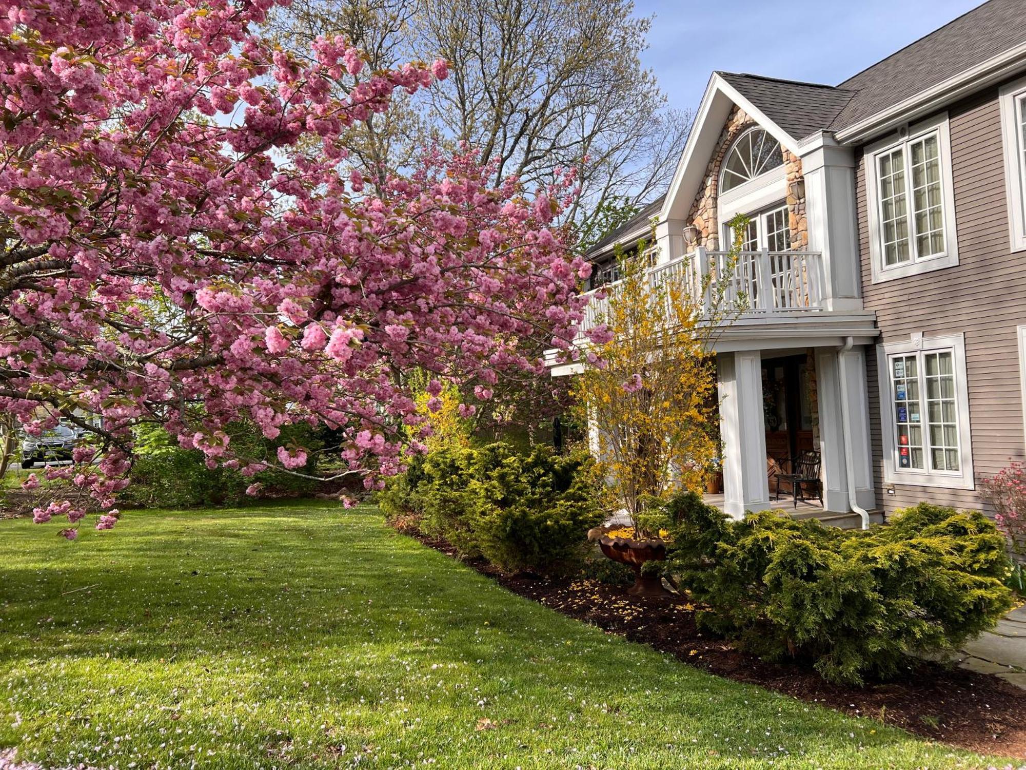 Frederick William House Hotel Falmouth Luaran gambar